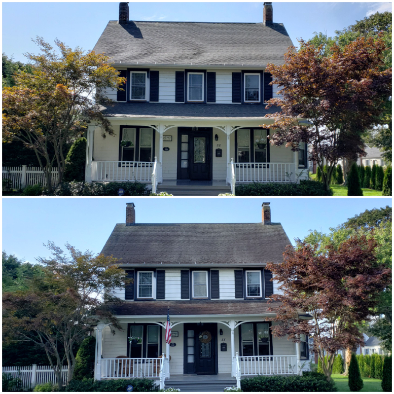 Roof cleaning